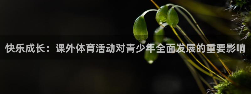 k1体育app
