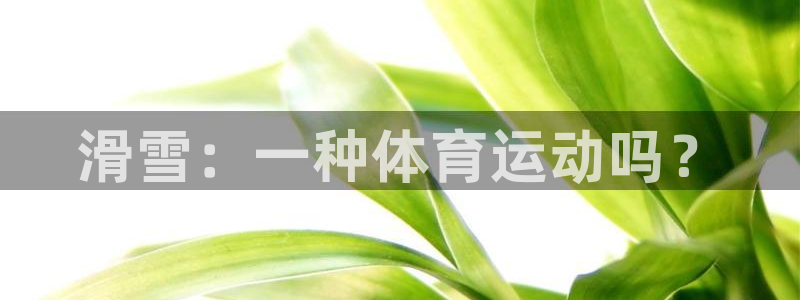 k1体育链接多少