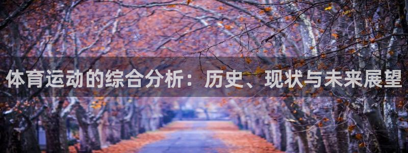 k1体育app官网登录入口：体育运动的综合分析：历史、现状与未来展望