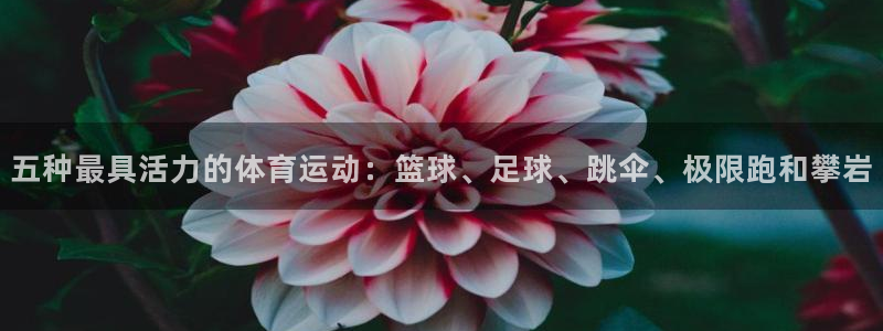 k1体育app