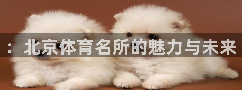 k1体育平台3915