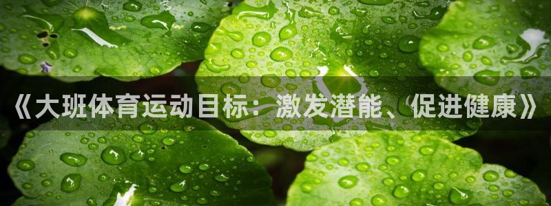 k1体育十年登录入口：《大班体育运动目标：激发潜能、促进健康》